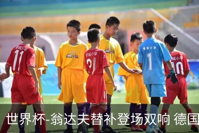 世界杯-翁达夫替补登场双响 德国2-1绝杀科特迪瓦出线