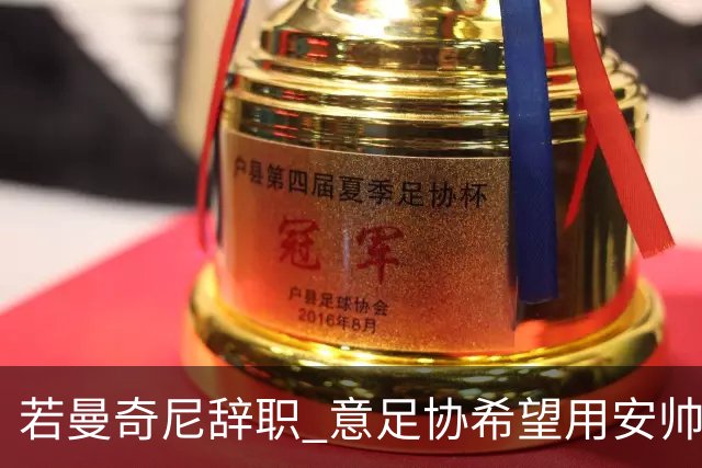若曼奇尼辞职 意足协希望用安帅或卡纳瓦罗替代